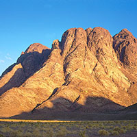 sinai hoy