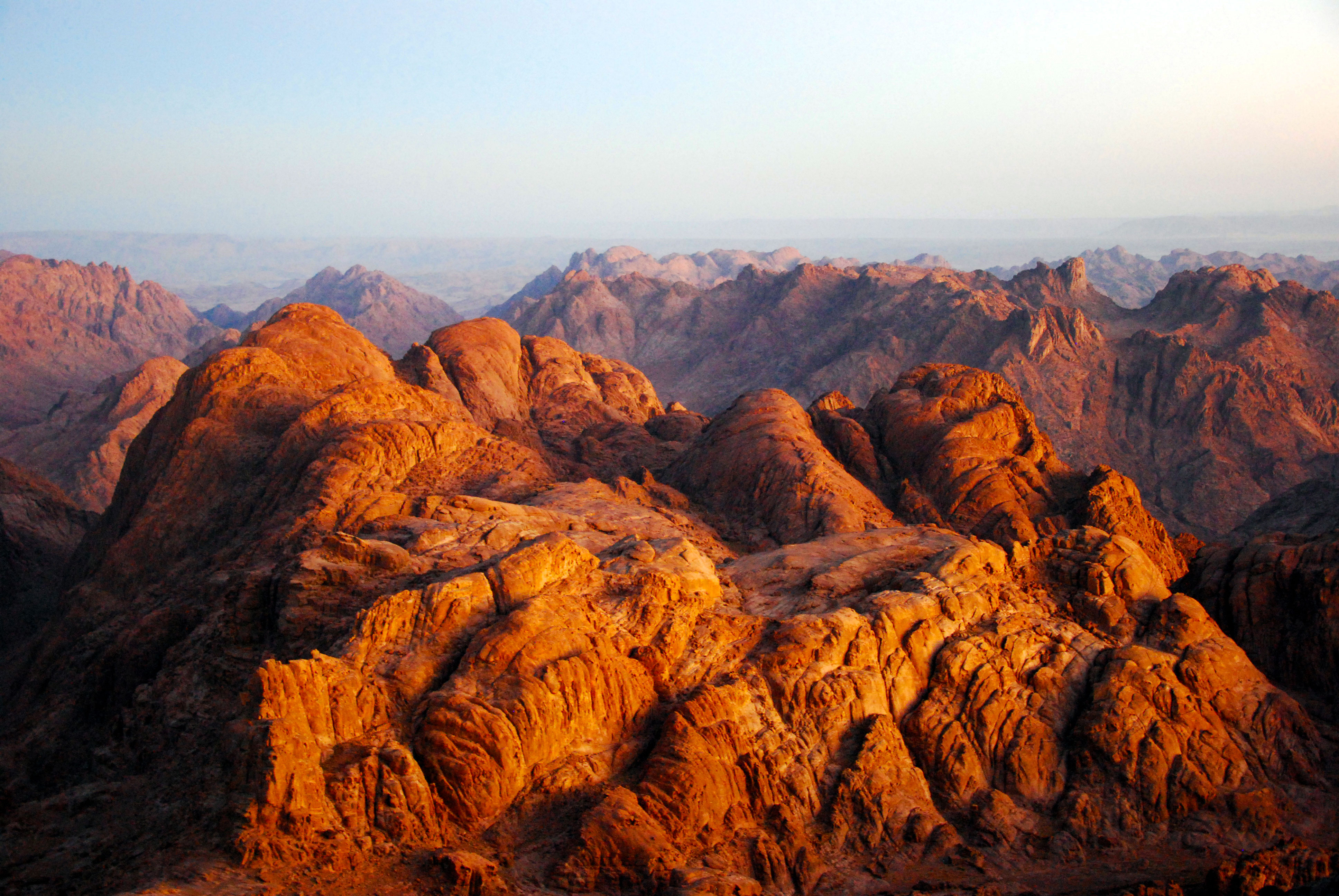 sinai actual