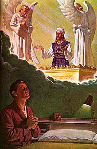 servicio diario